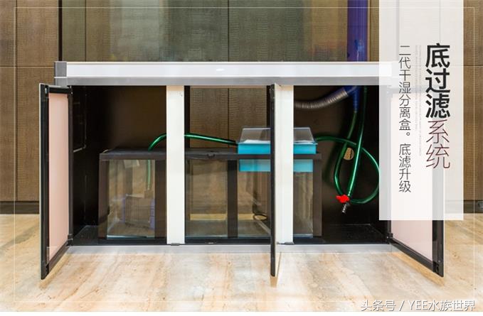 底滤鱼缸如何打造强大的过滤系统,鱼缸底滤和背滤哪个过滤效果更好