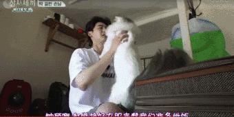 《三时三餐》二硕和均相的腻歪日常啊，甜到齁