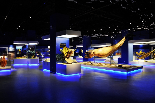 国庆节十一大连周边游,十一假期大连旅游推荐