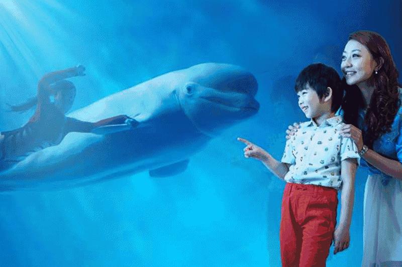 大连圣亚海洋世界门票老年优惠,大连圣亚海洋世界门票六一打折吗