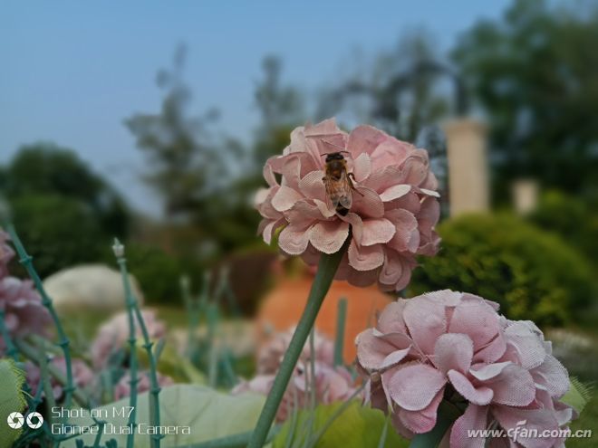 金立m7深度解析,金立m7到底怎么样