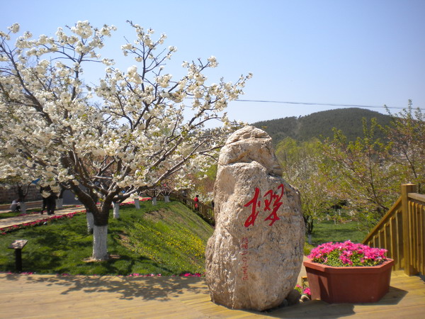 国庆节十一大连周边游,十一假期大连旅游推荐