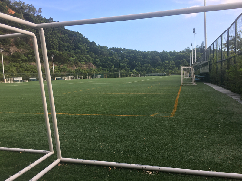 深圳有森林的公园,深圳藏在森林里的游乐园