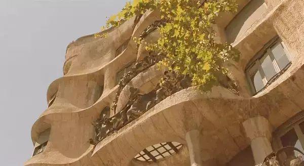 看电影真能学外语吗,学设计该看的电影