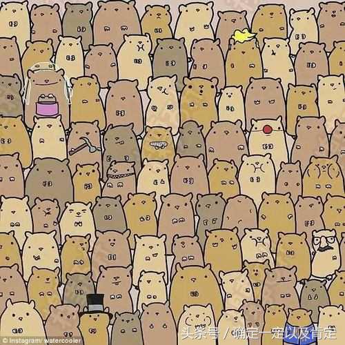 关于仓鼠的小知识,仓鼠小知识200条