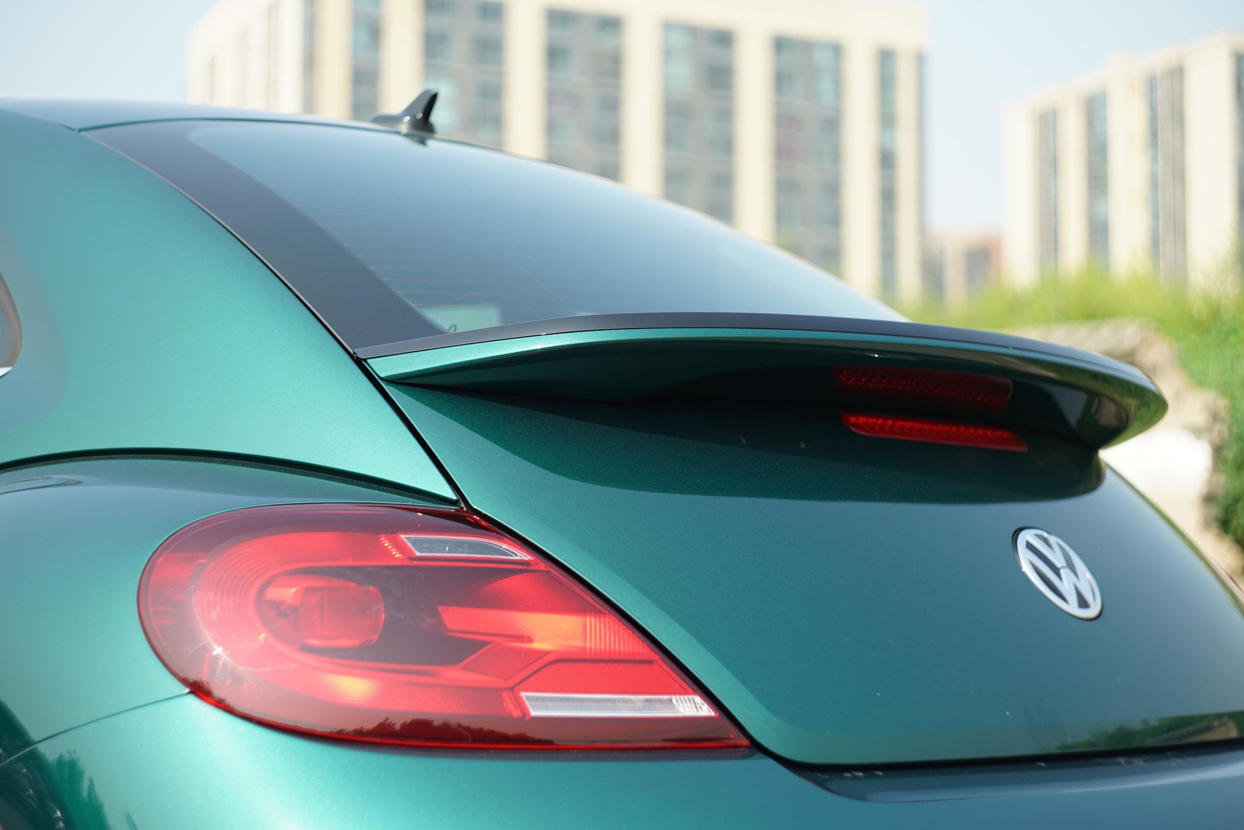 秋日里的竹璃绿｜大众甲壳虫