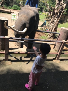 普吉岛清迈曼谷的游玩顺序亲子游,泰国清迈旅游团自由行
