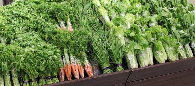 吃遍天下美食的吃货,吃货吃遍天下