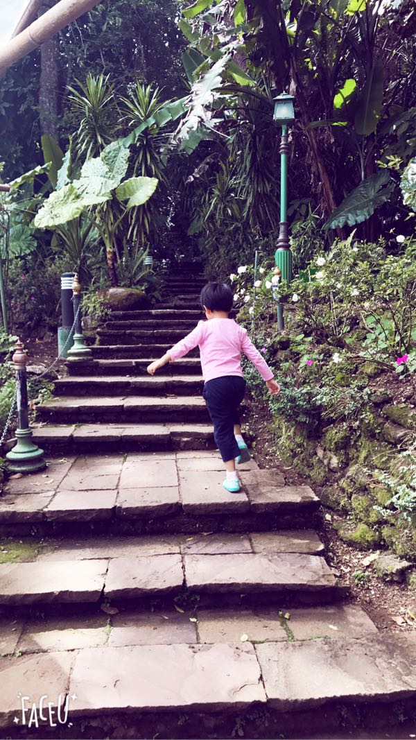 普吉岛清迈曼谷的游玩顺序亲子游,泰国清迈旅游团自由行