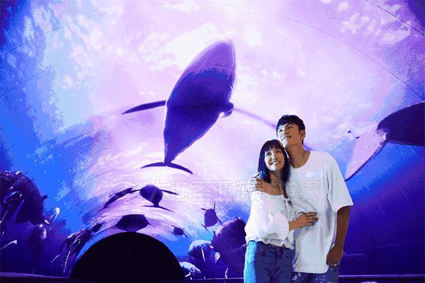 大连圣亚海洋世界门票老年优惠,大连圣亚海洋世界门票六一打折吗