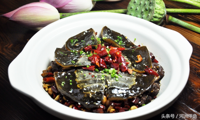 甲鱼菜品介绍术语,甲鱼菜品语言介绍