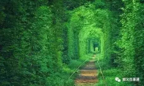 值得去免签落地签国家,对中国免签落地签旅游国家