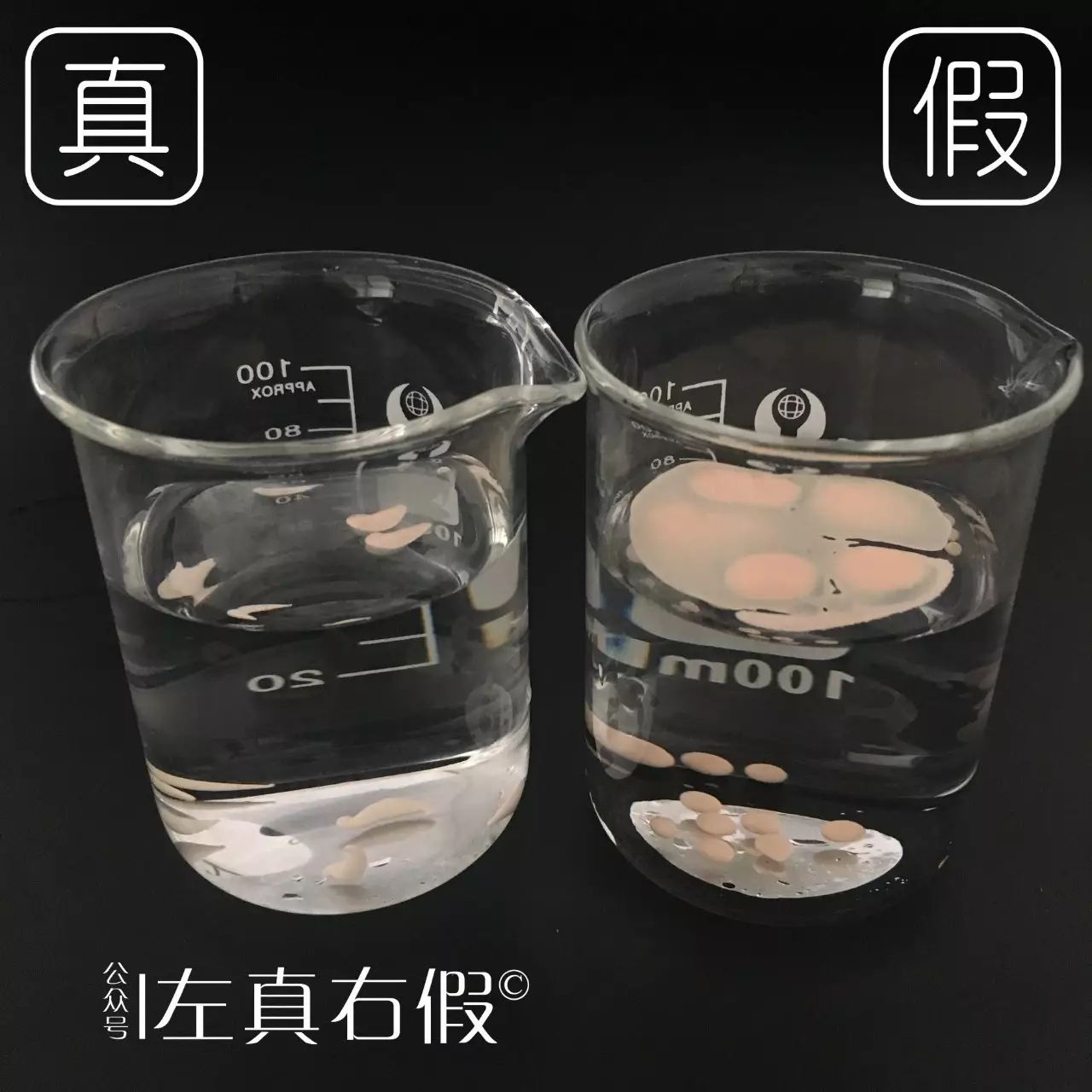 测评最好用的隔离,光感隔离推荐