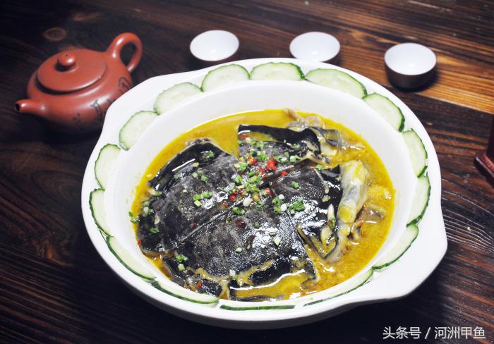 甲鱼菜品介绍术语,甲鱼菜品语言介绍