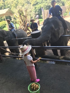 普吉岛清迈曼谷的游玩顺序亲子游,泰国清迈旅游团自由行