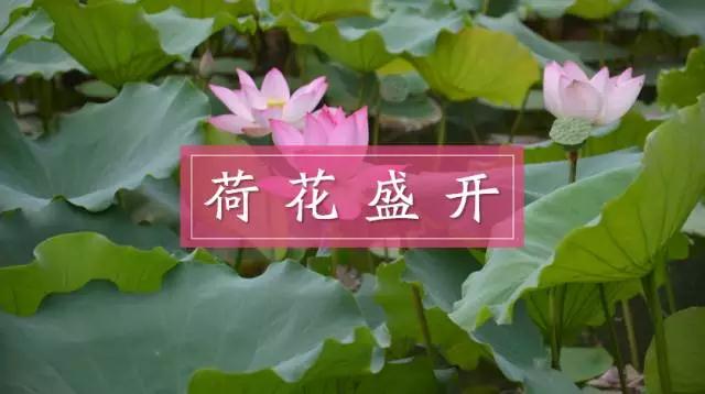 ppt课件制作方法与技巧教程文库,ppt课件制作教程技巧