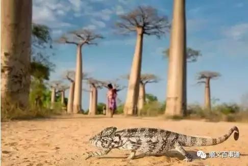 值得去免签落地签国家,对中国免签落地签旅游国家