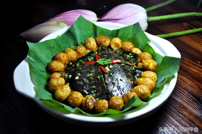 甲鱼菜品介绍术语,甲鱼菜品语言介绍