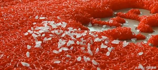 irobot扫地机器人,扫地机器人到底是不是智商税