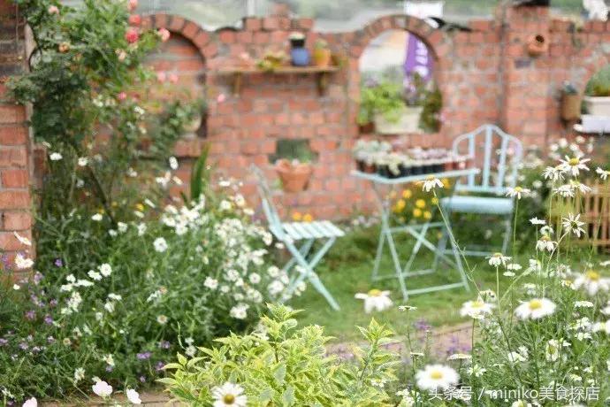 成都周边农场推荐,成都周边最有特点的农场