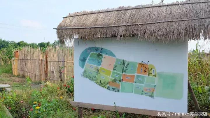 成都周边农场推荐,成都周边最有特点的农场