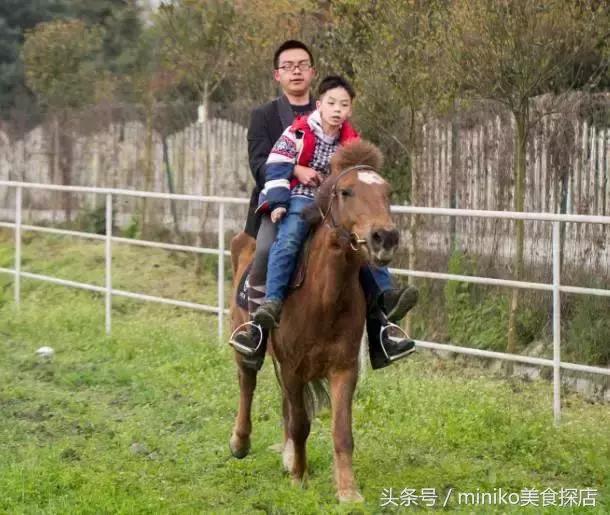 成都周边农场推荐,成都周边最有特点的农场