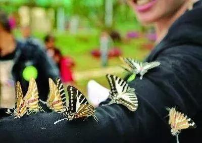 韩城文化旅游,韩城今年国庆节旅游