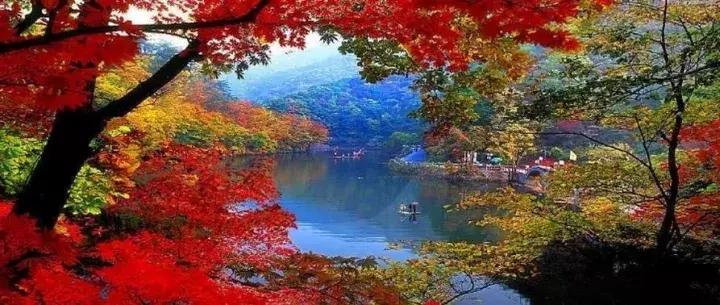 辽宁旅游十大必去景点有哪些,十一辽宁省内适合旅游的地方