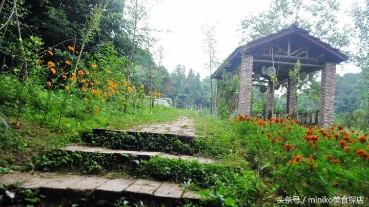 成都周边农场推荐,成都周边最有特点的农场