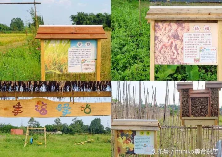 成都周边农场推荐,成都周边最有特点的农场