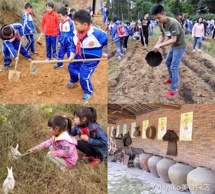成都周边农场推荐,成都周边最有特点的农场
