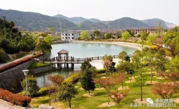 奉化旅游攻略两天一夜,十一宁波奉化旅游景点