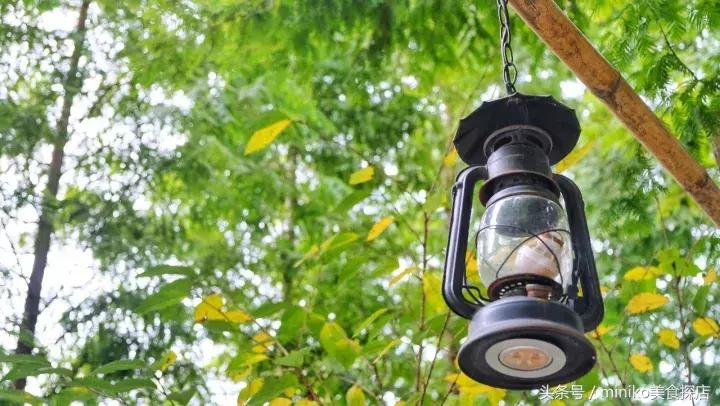 成都周边农场推荐,成都周边最有特点的农场