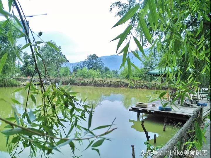 成都周边农场推荐,成都周边最有特点的农场