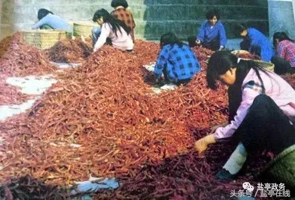 三分钟让你读懂盐亭的前世今生！