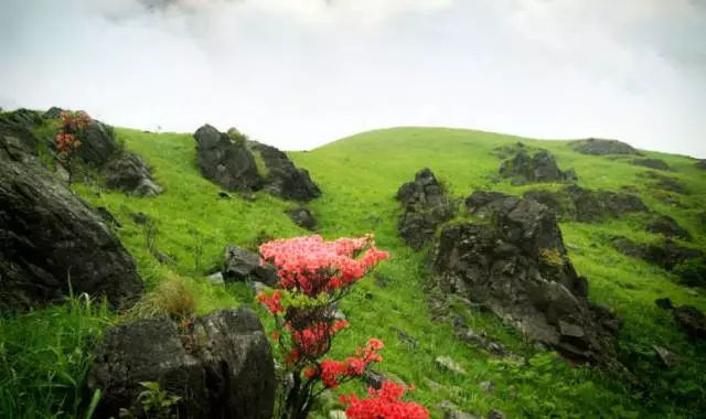 鍥藉簡鍗佸ぇ涓嶆暍鍘荤殑鏅偣,鍥藉簡鏃呮父灏忎紬鍩庡競