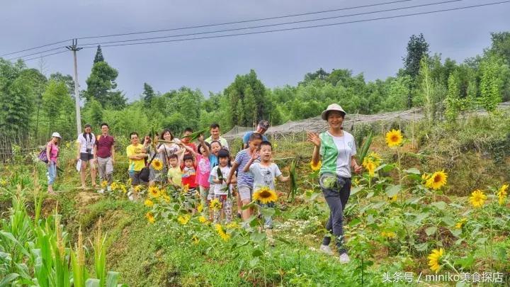成都周边农场推荐,成都周边最有特点的农场