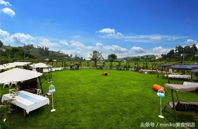 成都周边农场推荐,成都周边最有特点的农场