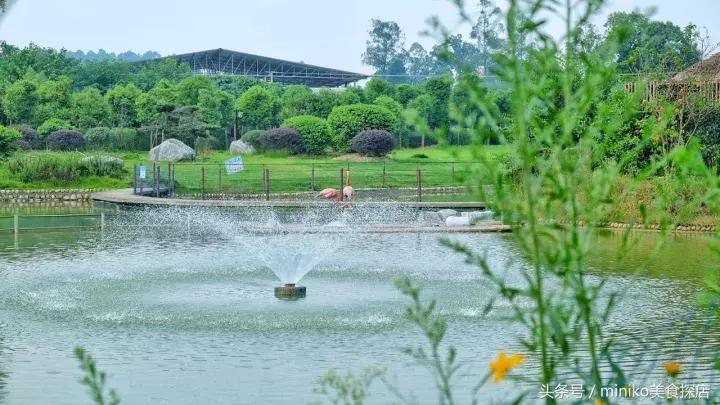 成都周边农场推荐,成都周边最有特点的农场