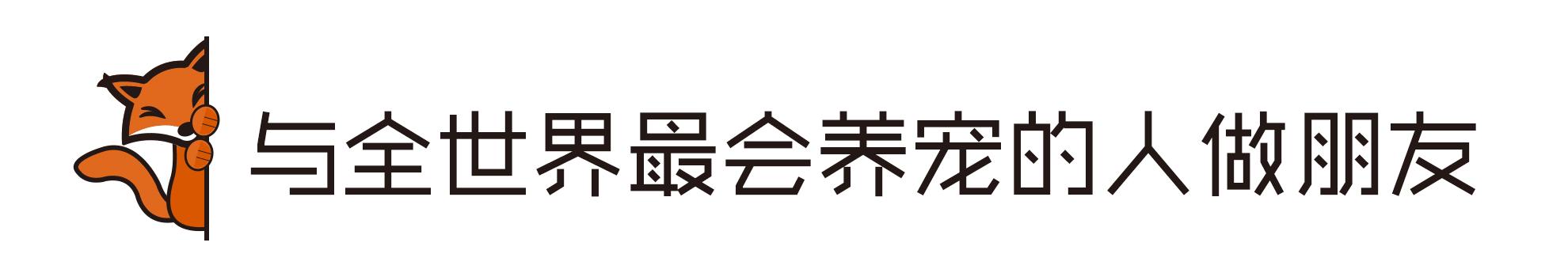 服侍主子洗了那么多次澡，我把毕生所悟都放在这篇攻略里了