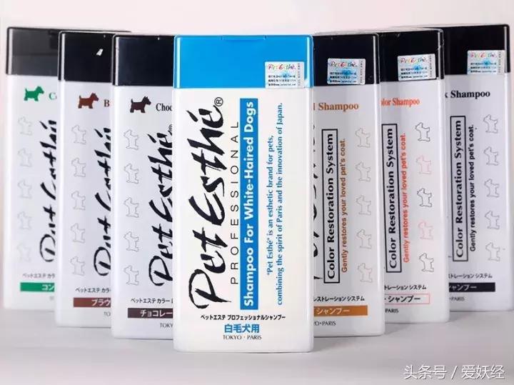 服侍主子洗了那么多次澡，我把毕生所悟都放在这篇攻略里了