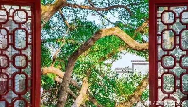 奉化旅游攻略两天一夜,十一宁波奉化旅游景点