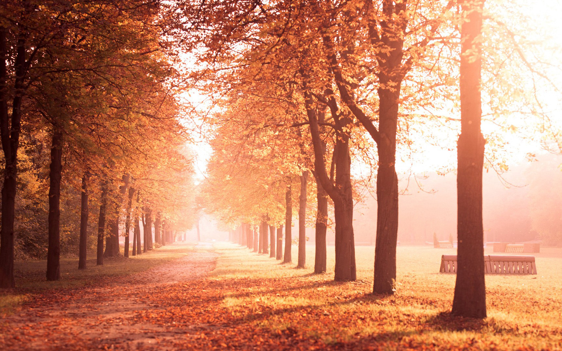 高考语文文言文答题技巧视频讲解,高考文言文答题技巧与方法总结