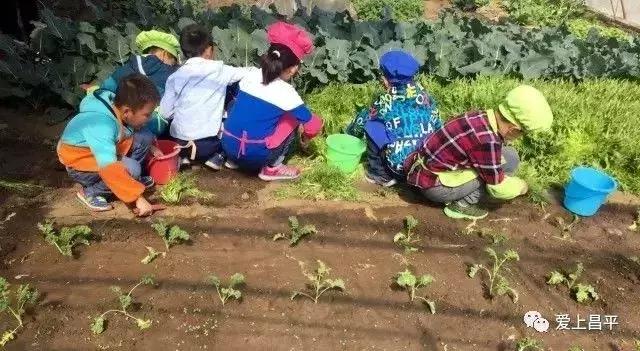 昌平民宿独立小院20人,北京昌平民宿排行榜前十名