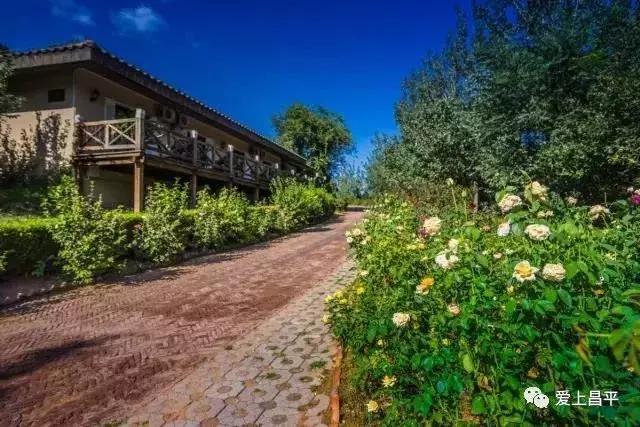 昌平民宿独立小院20人,北京昌平民宿排行榜前十名