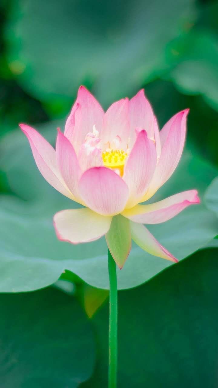 微商正确跟客户沟通,客户谈到微商该怎么交流