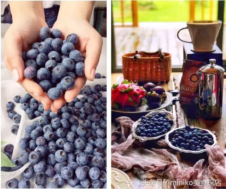 成都周边农场推荐,成都周边最有特点的农场