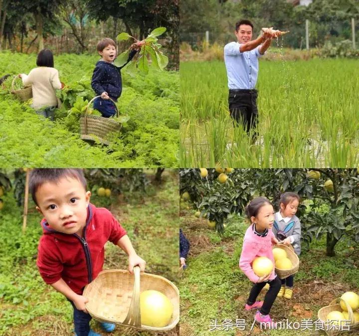 成都周边农场推荐,成都周边最有特点的农场