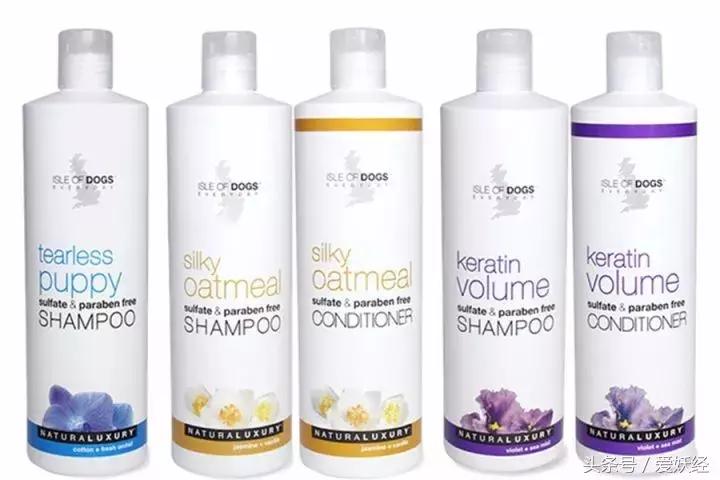 服侍主子洗了那么多次澡，我把毕生所悟都放在这篇攻略里了