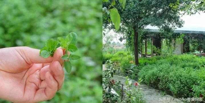 成都周边农场推荐,成都周边最有特点的农场